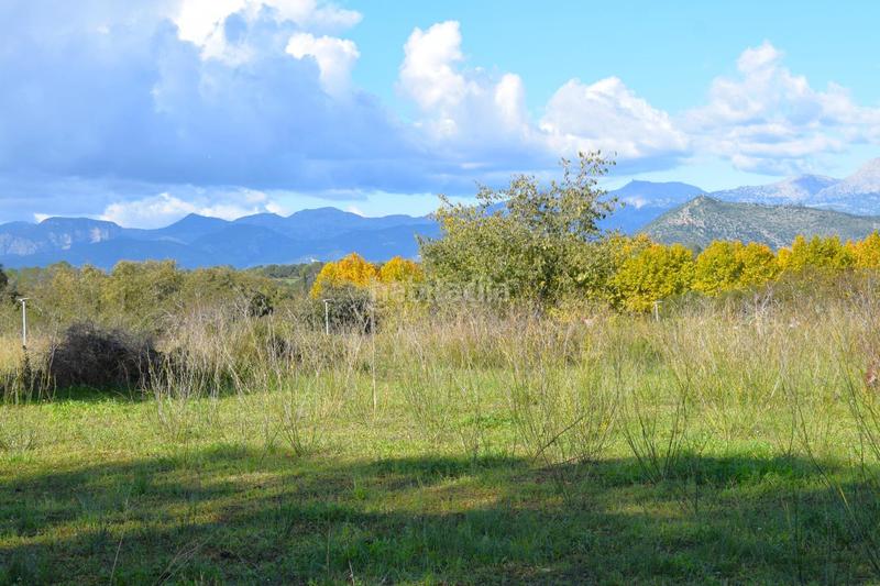 Foto b2f5e327-84ad-4520-aa96-e95f45a10fec. Terrain résidentiel dans Llubí