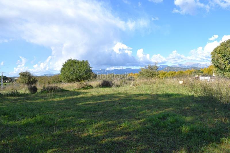 Foto ed986c99-68c8-48dd-b028-b8f567c94347. Terrain résidentiel dans Llubí