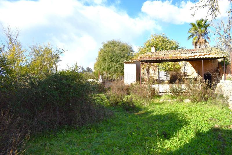 Foto ff286687-51ef-4f46-8fb7-6aa5728a20c9. Terrain résidentiel dans Llubí