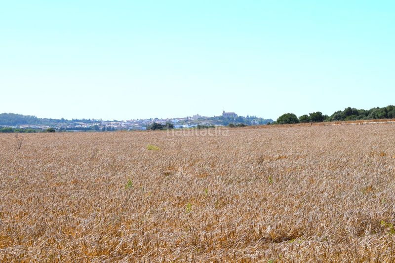 Foto 13ab14a9-6d7f-4ab5-a2ff-9e8a99ed405c. Masia a Santa Margalida poble Santa Margalida