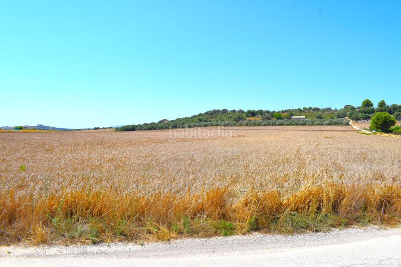 Foto 79ca0ff7-d2ba-49fc-ae19-262856469477. Masia a Santa Margalida poble Santa Margalida
