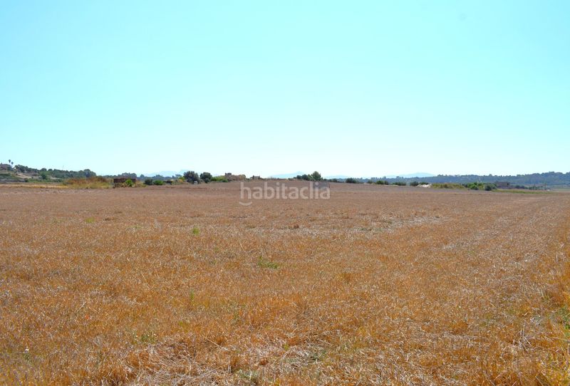 Foto a943d1b7-ccb8-4830-9fbd-8681fbd2ff98. Masia a Santa Margalida poble Santa Margalida