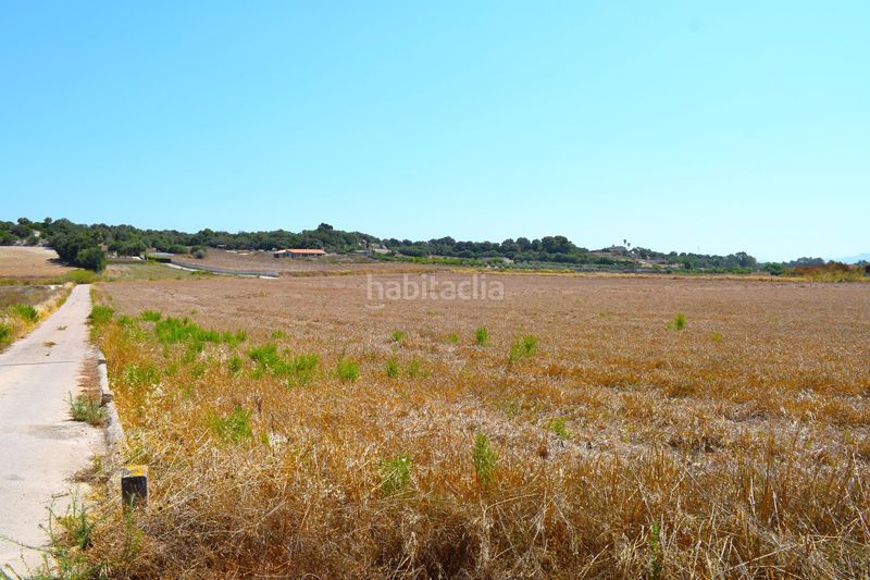 Foto abe03d9d-dd54-4695-8bc5-d2b3eba55e91. Masia a Santa Margalida poble Santa Margalida