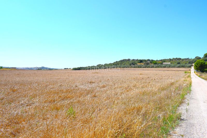 Foto b8d8f6d9-710a-4b8b-94cc-e1b3bcc747a8. Masia a Santa Margalida poble Santa Margalida