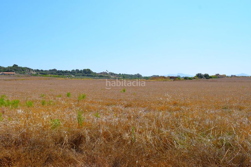Foto f203c52b-1ea2-4622-b843-c8ed6d30e5fe. Masia a Santa Margalida poble Santa Margalida