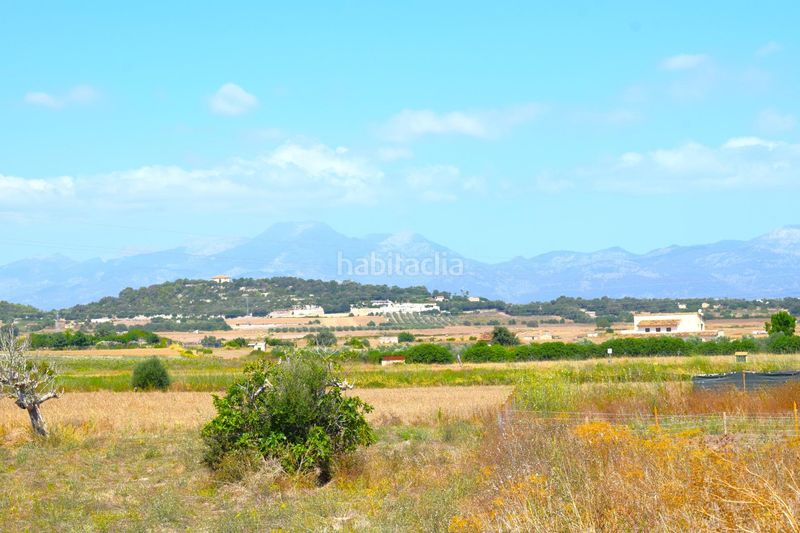 Foto fe37886a-4610-41b7-a1c9-e5749980cbe7. Masia a Santa Margalida poble Santa Margalida