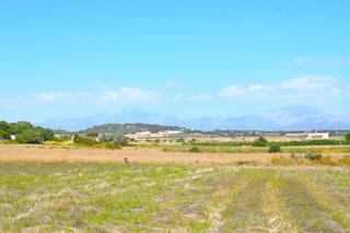 Bauernhof in Santa Margalida Poble. Finca rústica con posibilidad de construir una vivienda en santa