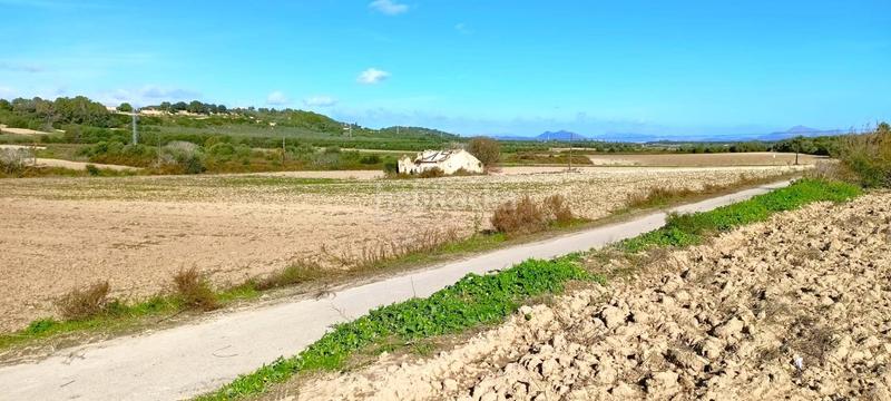 Foto 1001b280-978d-487b-a025-b54f55c89405. Terrain résidentiel dans Muro