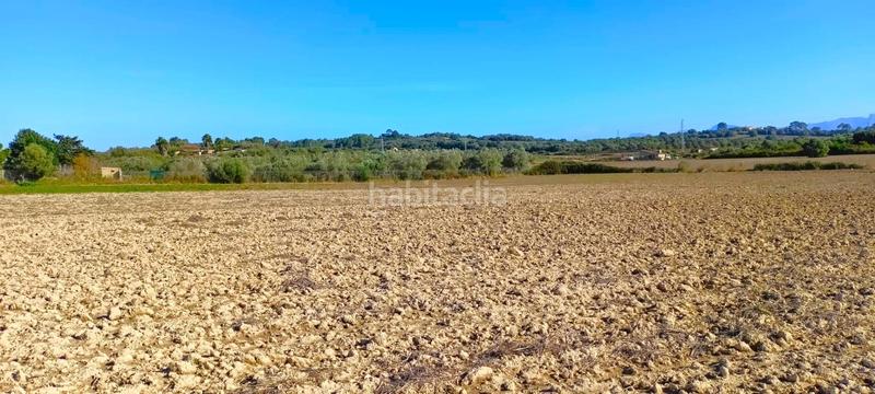 Foto 1f0cecd0-2555-4e9e-b318-2798ff7be492. Terrain résidentiel dans Muro