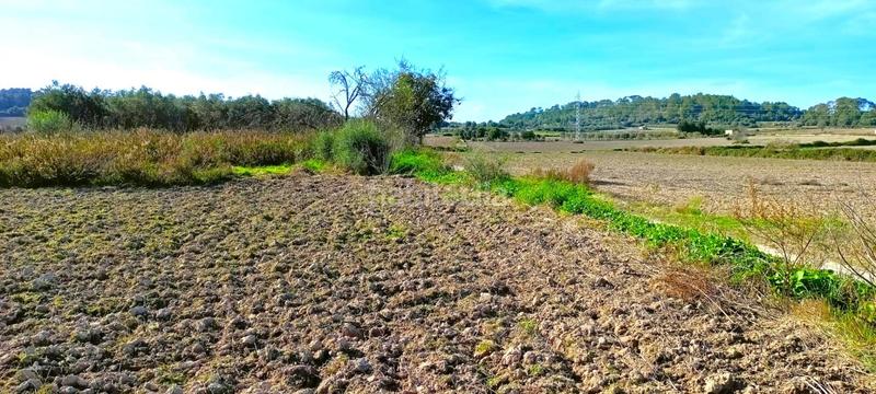 Foto 2be4dd31-2c27-4530-a7bc-db4f7c906437. Terrain résidentiel dans Muro