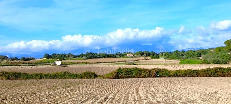 Foto 2fff447f-b814-43b4-a8c5-de9a2e725a87. Terrain résidentiel dans Muro