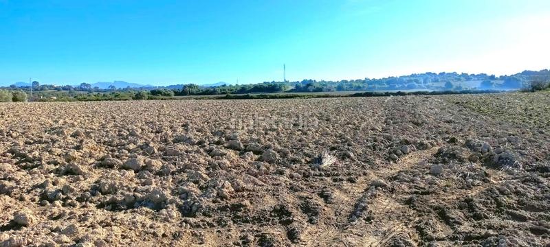 Foto 47cbb8f8-200a-4e6d-8c6c-07c4480fd506. Terrain résidentiel dans Muro