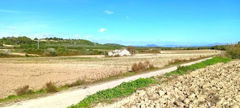 Foto 61920728-9592-4545-88a8-4632a3137dfa. Terrain résidentiel dans Muro