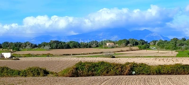 Foto 6220834a-5349-4de4-9daf-575167ad4792. Terrain résidentiel dans Muro