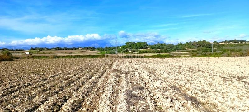 Foto 8283d367-aa28-4aeb-aff7-430b100eeb87. Terrain résidentiel dans Muro