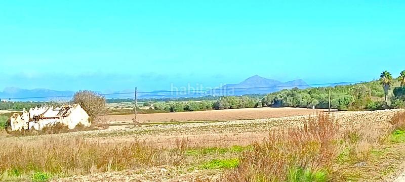 Foto c2df0e8b-1a85-4b53-bd68-b0ffb5a36099. Terrain résidentiel dans Muro