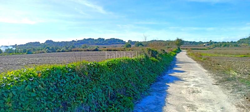 Foto d6fcad82-e255-41a0-9a58-6167a1c8ea4d. Terrain résidentiel dans Muro