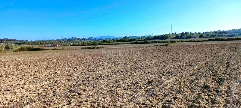 Foto fca2074e-b782-431e-a44a-e4d268542098. Terrain résidentiel dans Muro