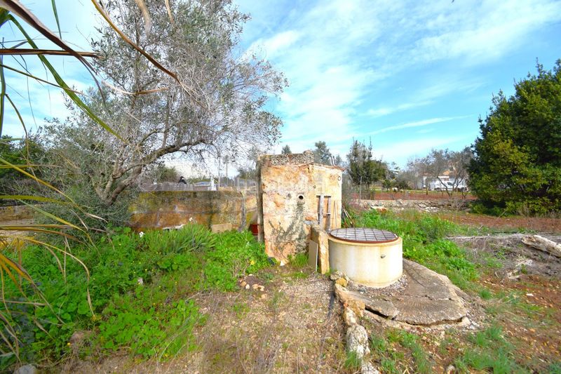 Foto 6d260ace-9047-4865-8d43-a93abf18a0d9. Masia a Pollença poble Pollença