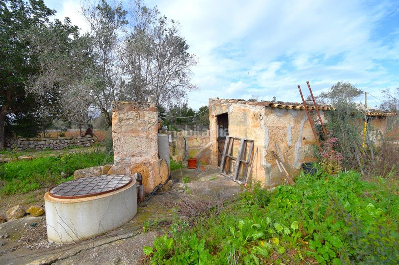 Foto 6fc985d5-a6ce-4e92-9ee0-de078c4b7d05. Masia a Pollença poble Pollença