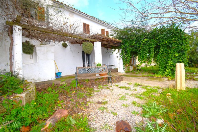 Foto b0a19eca-8c29-4263-a0ce-1ab3909d8db2. Masia a Pollença poble Pollença