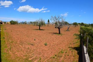 Terreno residencial en Santa Margalida Poble. Finca rústica en santa margarita