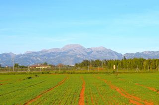 Mas à Muro. Finca con vistas a la serra de tramuntana en muro