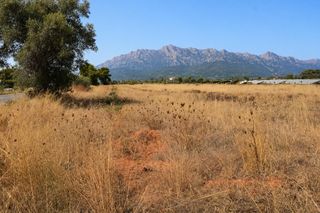 Wohngrundstück in Santa María del Camí. Finca rústica con  posibilidad de vivienda en santa maria de cam