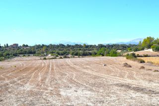 Bauernhof in Llubí. Finca rústica con posibilidad de vivienda en llubi