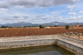 Country house in Muro. Finca rústica con posibilidad de vivienda en muro