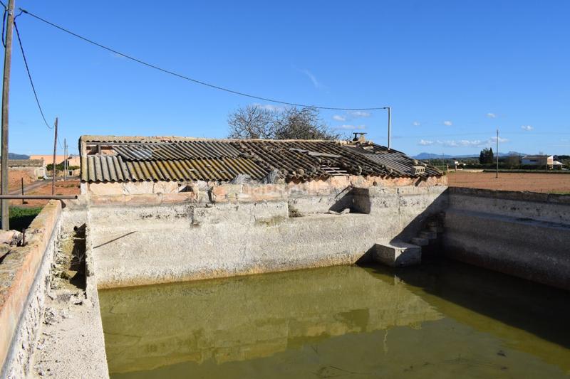 Foto 1697d16e-b077-4553-ae94-572cd1e1dd14. Masía finca rústica con posibilidad de construir en Sa Pobla