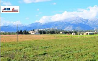 Masia  Poligono 8 parcela 212. Finca rústica  en sa pobla con  posibilidad de construir