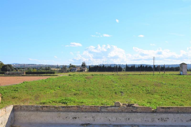 Foto 2a87040d-b276-4b96-af81-6d59c47ca2b3. Masía finca rústica con posibilidad de construir en Sa Pobla