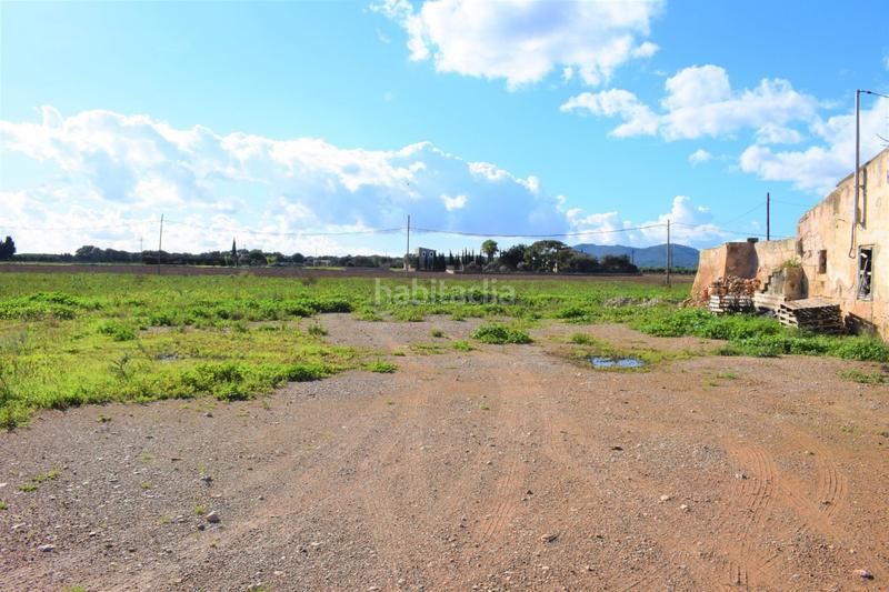 Foto 4a53960f-b128-4fae-b0a8-0b127d593d4c. Masía finca rústica con posibilidad de construir en Sa Pobla