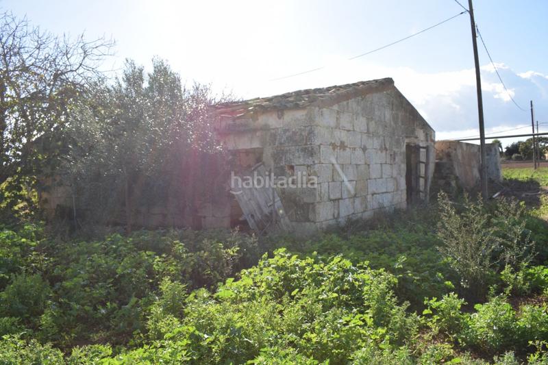 Foto 9f7ec0ab-6b94-465d-81b9-a00f29ee8ee8. Masía finca rústica con posibilidad de construir en Sa Pobla