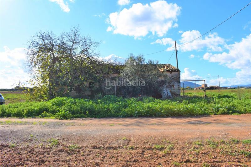 Foto a919886c-7c8c-49c3-a057-74bca8b5b4df. Masía finca rústica con posibilidad de construir en Sa Pobla