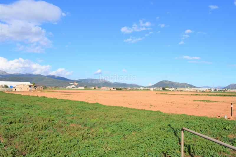 Foto ab970859-fb52-4032-865a-c4b499fdb24c. Masía finca rústica con posibilidad de construir en Sa Pobla