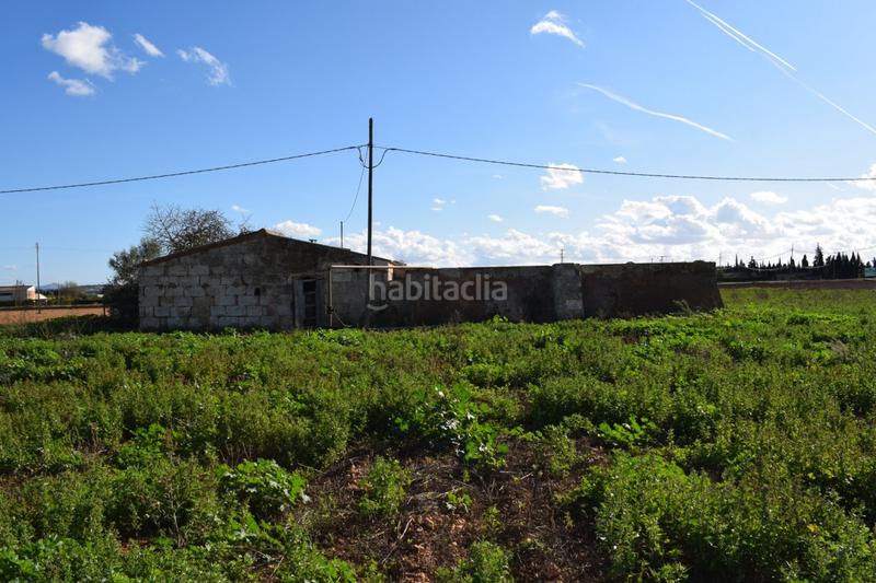 Foto d2216f12-1026-4fcf-8c3e-45ef5d01e850. Masía finca rústica con posibilidad de construir en Sa Pobla