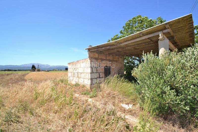 Foto 1fae0086-2ecc-4366-be87-b0026546b4c3. Casale in Muro