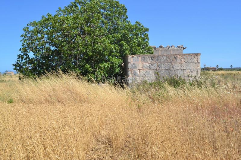 Foto 44b00a6d-77a3-45c3-b5eb-5905e1b602fc. Casale in Muro