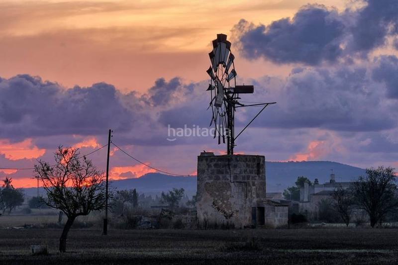 Foto 498f9cbc-0c70-4e75-9870-92dc12e54988. Casale in Muro