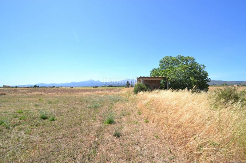 Foto 5a6d6da4-f569-4de4-9559-1fb39d834503. Casale in Muro