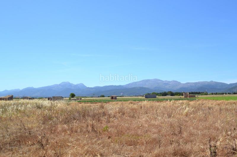 Foto 88124ab3-a697-4e67-baec-63641b0a5872. Casale in Muro