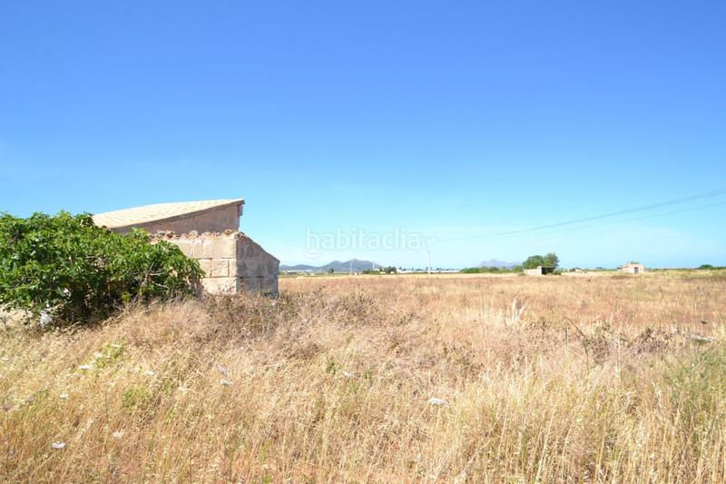 Foto a2b50b99-fcf4-40f6-998e-0867572e9b34. Casale in Muro