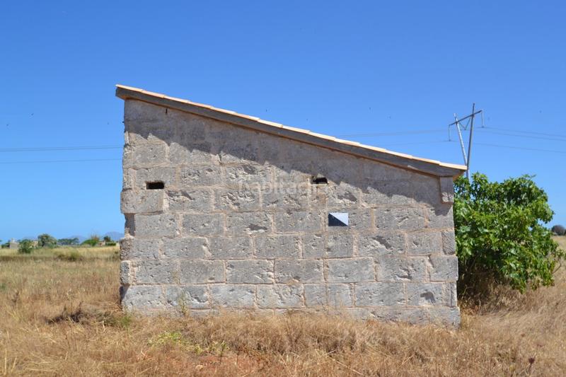 Foto d484bfb4-1720-441d-9a88-d9d46680997d. Casale in Muro