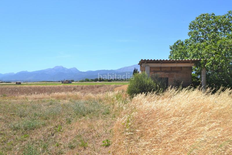 Foto e7f134b7-d033-4729-b060-c0e2c37bff9c. Casale in Muro