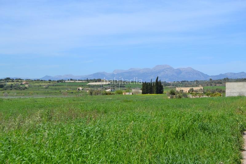 Foto 078a2d56-fad0-4f48-ad5c-cc6bc1bf40ab. Wohngrundstück in polígono 4 parcela 226 in Santa Margalida poble Santa Margalida