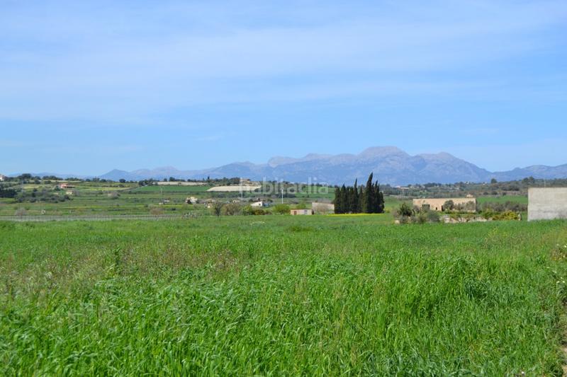 Foto 1a9d773b-c98a-435a-9209-2d7a7aebf5f3. Wohngrundstück in polígono 4 parcela 226 in Santa Margalida poble Santa Margalida