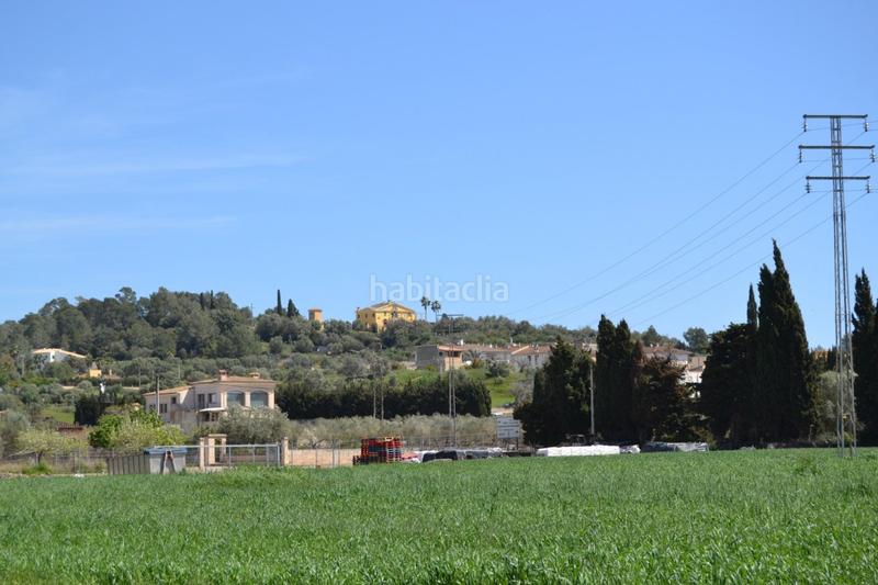 Foto 25b65483-bbd4-434a-80f4-b412827e22eb. Wohngrundstück in polígono 4 parcela 226 in Santa Margalida poble Santa Margalida