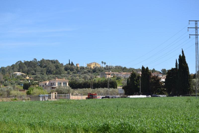 Foto 90d66912-8787-4b93-b558-c25694c3028e. Wohngrundstück in polígono 4 parcela 226 in Santa Margalida poble Santa Margalida